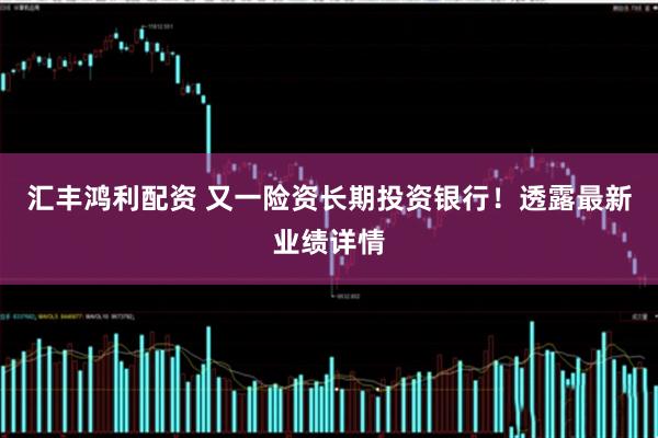 汇丰鸿利配资 又一险资长期投资银行！透露最新业绩详情