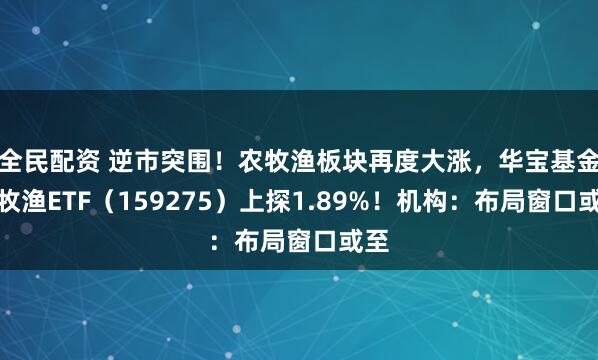 全民配资 逆市突围！农牧渔板块再度大涨，华宝基金农牧渔ETF（159275）上探1.89%！机构：布局窗口或至